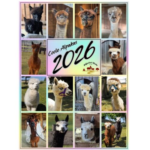 Wandkalender A3 2026