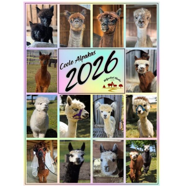 Wandkalender A3 2026