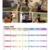 Wandkalender A3 2026 – Bild 3