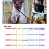 Wandkalender A3 2026 – Bild 4