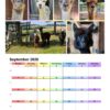 Wandkalender A3 2026 – Bild 5