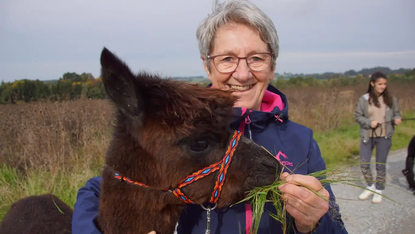 Alpakawandern mit den Wolfachtal Alpakas. Auf dem Bild sieht man eine strahlende ältere Frau wie sie mit unserem Alpaka "Speedy" spazieren geht und ihm Gras füttert.