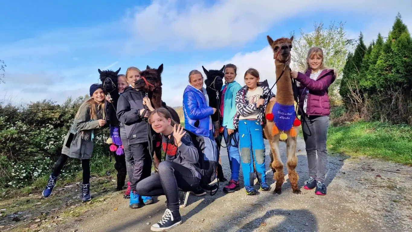 Auch Kinder-Geburtstagswanderungen mit unseren Alpakas sind ein Highlight. Auf dem Foto sieht man eine Gruppe aus 8 glücklichen Mädchen mit einigen unserer Alpakas