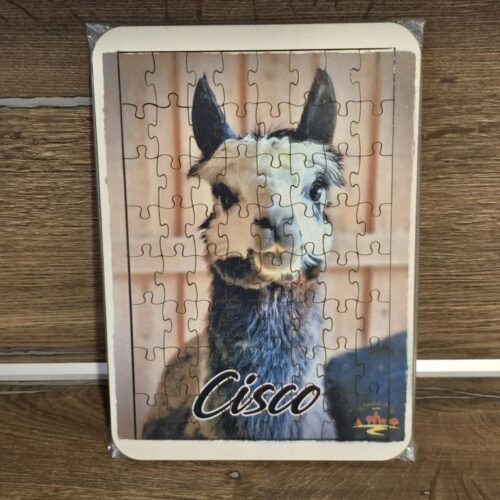 Puzzle "Cisco"