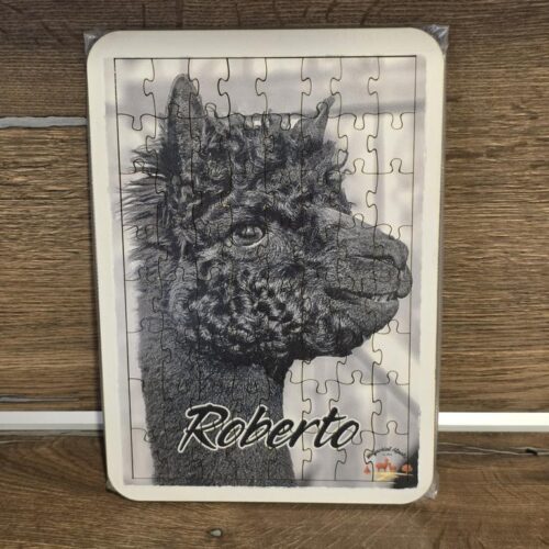 Puzzle "Roberto"