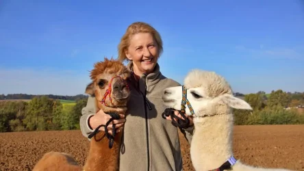 Alpakawandern mit den Wolfachtal Alpakas. Auf dem Bild sieht man eine Glücklich lachende Frau zwischen unseren Alpakas "Sir Paul" und "Zorro-Brösel"